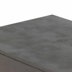 Fourhands Shagreen Desk