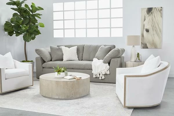 Essentials For Living Sky Sofa Best Of Living Room