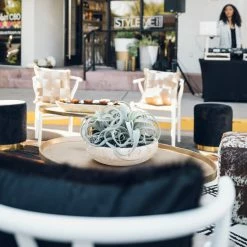 HomArt Spindling Faux Succulent Best Of Home Decor