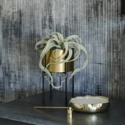 HomArt Spindling Faux Succulent Best Of Home Decor