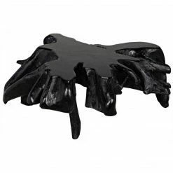 Noir Teak Root Coffee Table