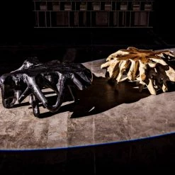 Noir Teak Root Coffee Table