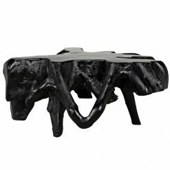 Noir Teak Root Coffee Table