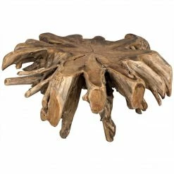 Noir Teak Root Coffee Table