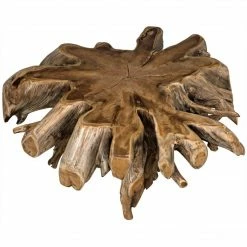 Noir Teak Root Coffee Table