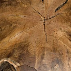 Noir Teak Root Coffee Table