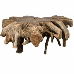 Noir Teak Root Coffee Table