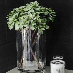 BIDK HOME Transparent Cylinder Vase Best Sellers