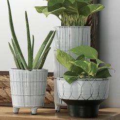 Jamie Young Best Sellers Trio Vases