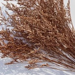 Yunnan Dianfeng Flower Technology Co. Ltd Valentines Grass Featured Collections