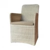 Artesia New Outdoor Wickerly Chair
