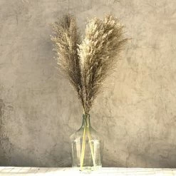 Yunnan Dianfeng Flower Technology Co. Ltd Wild Pampas Grass