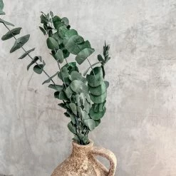 Yunnan Dianfeng Flower Technology Co. Ltd Natural Eucalyptus Leaf