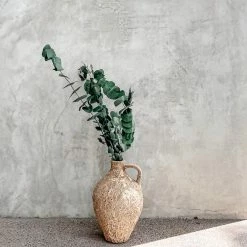 Yunnan Dianfeng Flower Technology Co. Ltd Natural Eucalyptus Leaf