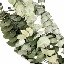 Yunnan Dianfeng Flower Technology Co. Ltd Natural Eucalyptus Leaf