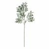 Creative Co Op Faux Olive Branch