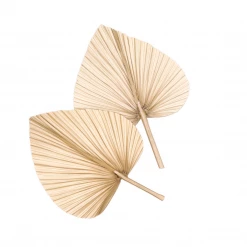 Yunnan Dianfeng Flower Technology Co. Ltd Natural Bleached Palm Spear New Home Decor