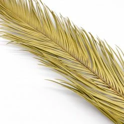 Yunnan Dianfeng Flower Technology Co. Ltd Olive Palm Leaf, Set Of 3