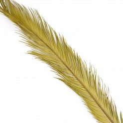 Yunnan Dianfeng Flower Technology Co. Ltd Olive Palm Leaf, Set Of 3