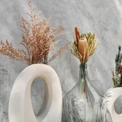 Yunnan Dianfeng Flower Technology Co. Ltd New Home Decor Natural Dried Banksia