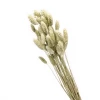 Yunnan Dianfeng Flower Technology Co. Ltd Natural Gem Grass Best Of Home Decor