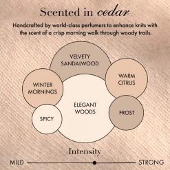 The Laundress In Stock Wool & Cashmere Shampoo