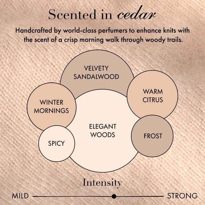 The Laundress In Stock Wool & Cashmere Shampoo