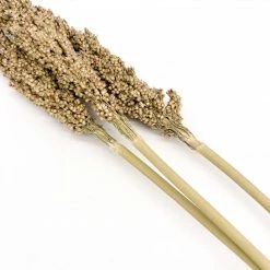 Yunnan Dianfeng Flower Technology Co. Ltd New Home Decor Dried Sorghum Flower, Bundle Of 3